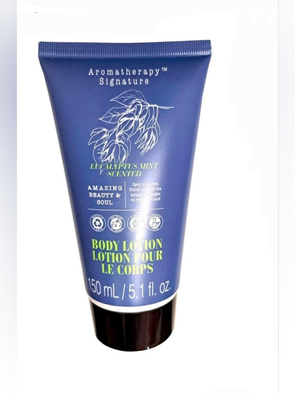 Aromatherapy Signature Eucalyptus Mint Body Lotion - 5.1fl Oz